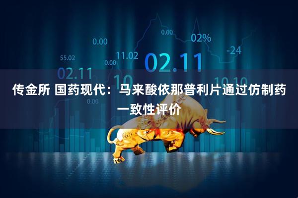 传金所 国药现代：马来酸依那普利片通过仿制药一致性评价