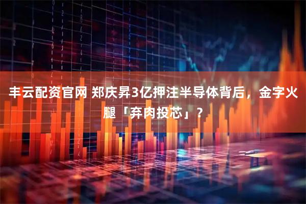 丰云配资官网 郑庆昇3亿押注半导体背后，金字火腿「弃肉投芯」？
