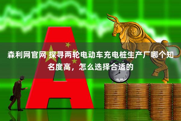 森利网官网 探寻两轮电动车充电桩生产厂哪个知名度高，怎么选择合适的