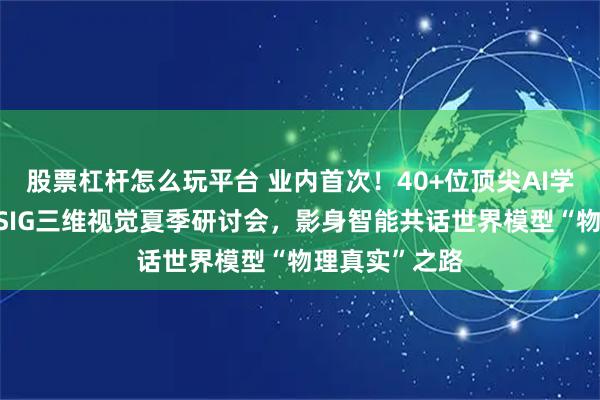 股票杠杆怎么玩平台 业内首次！40+位顶尖AI学者齐聚首届CSIG三维视觉夏季研讨会，影身智能共话世界模型“物理真实”之路